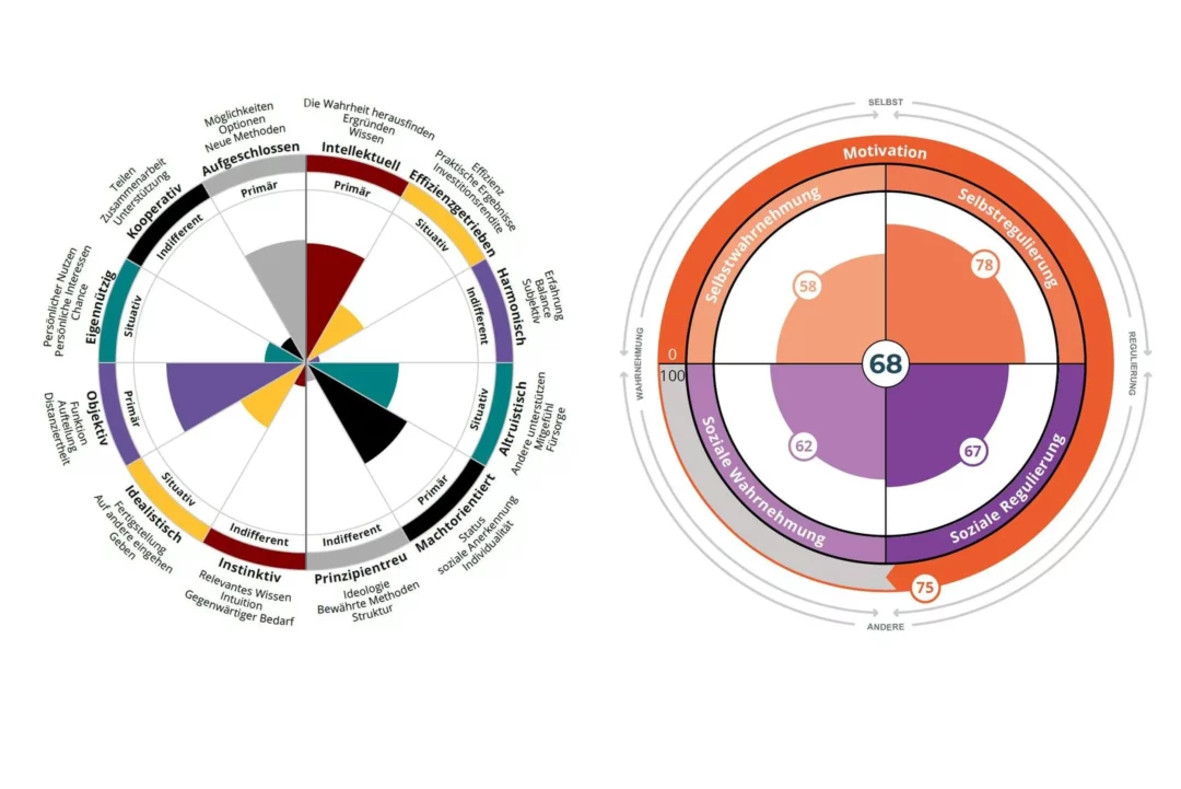 INSIGHTS MDI®I DISG Modell – Menschenkenntnis auf einen Blick II I Workshop Menschenkenntnis