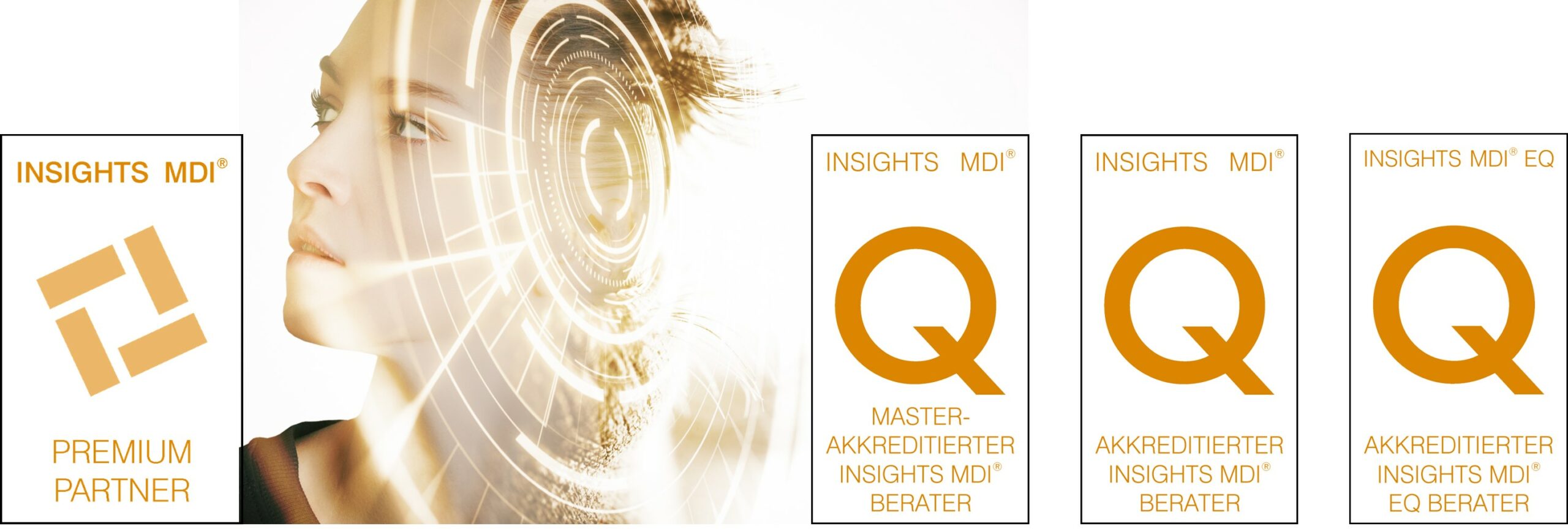 Qualifizierung_Insights_MDI_Unternehmensberatung_searchandtrain