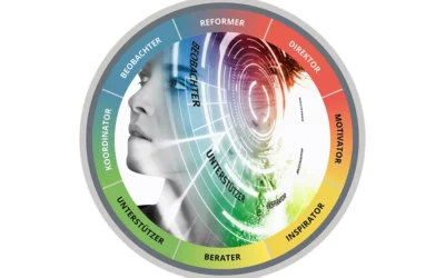 „Profiling“ Management- und Verkaufstraining, INSIGHTS MDI®