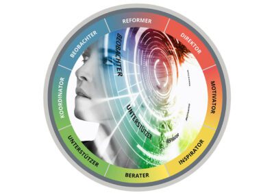 „Profiling“ Management- und Verkaufstraining, INSIGHTS MDI®