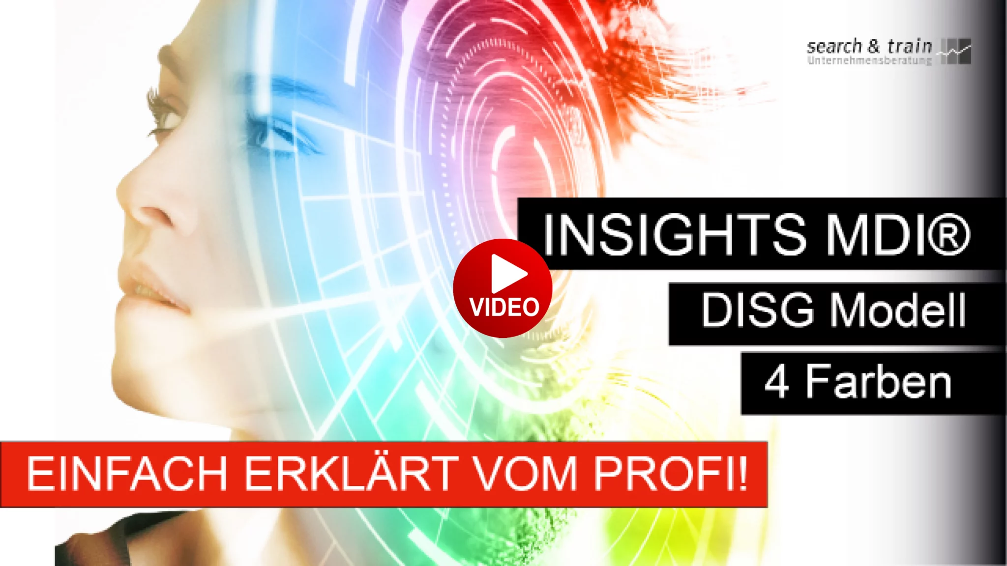 Insights MDI - DISG Modell - Erklärvideo - Searchandtrain- Unternehmensberatungberlin